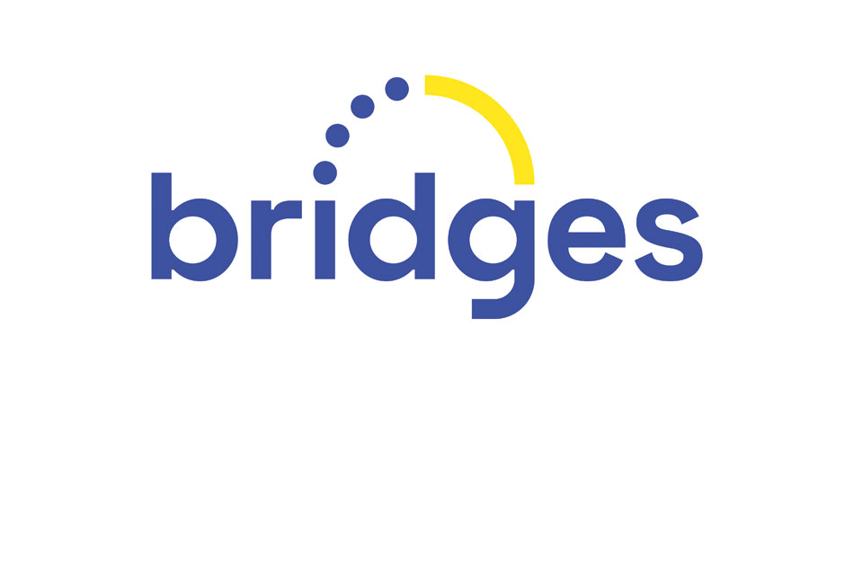 BRIDGES FINANCIAL SERVICES